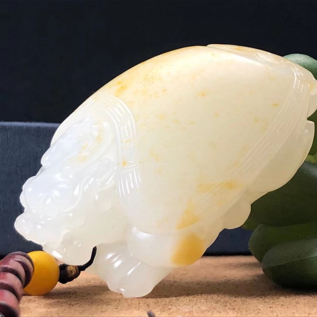 苏工 龙龟