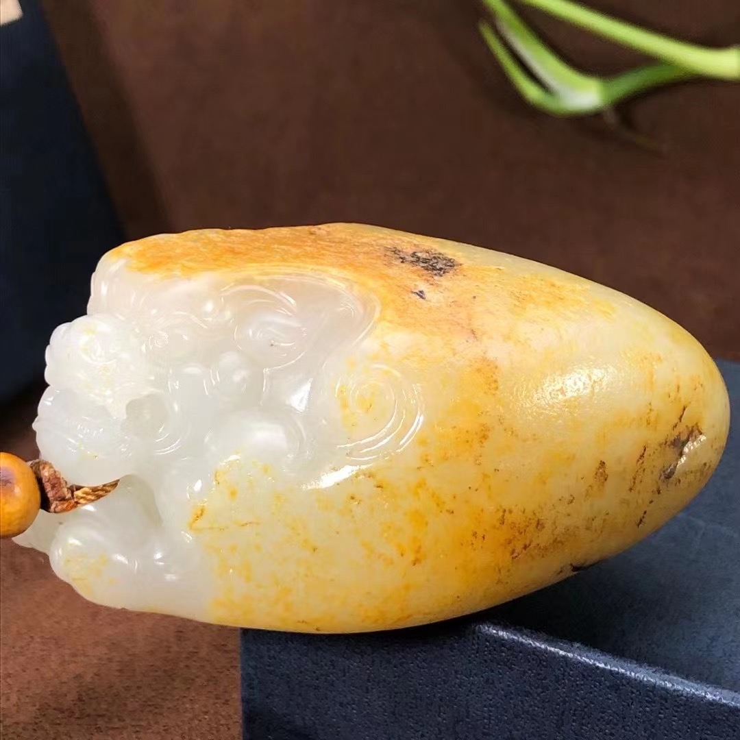 貔貅 戴逸晨